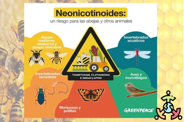 neonicotinoides efectos abejas